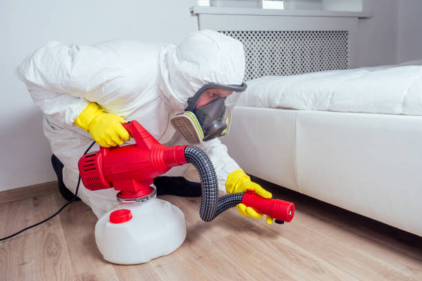 Best Real Estate Pest Inspections  in Rush Springs, OK